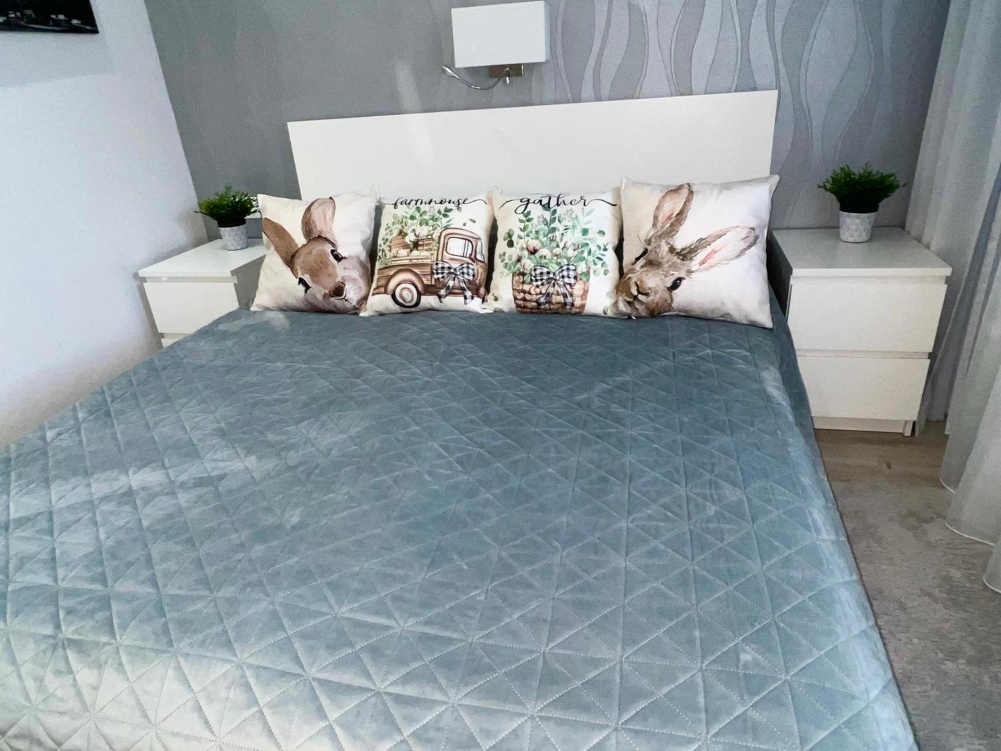 Downtown Dream Apartmans Сегед Экстерьер фото